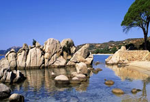 KY体育-关于击剑夜战：关东银狐队读秒扳平姑苏猎隼队，主帅临场妙招黑马成最大惊喜的信息